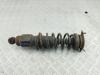 Стойка подвески задняя левая Subaru Legacy Артикул 55229520 - Фото #1