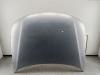 Капот Volkswagen Passat B5 Артикул 54422705 - Фото #1