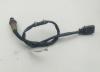 Датчик кислородный (лямбда-зонд) Volkswagen Passat B6 Артикул 55308707 - Фото #1