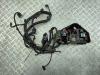 Проводка двигателя Volkswagen Touareg Артикул 55354003 - Фото #1