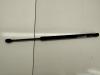 Амортизатор крышки (двери) багажника Volkswagen Touran Артикул 54504021 - Фото #1